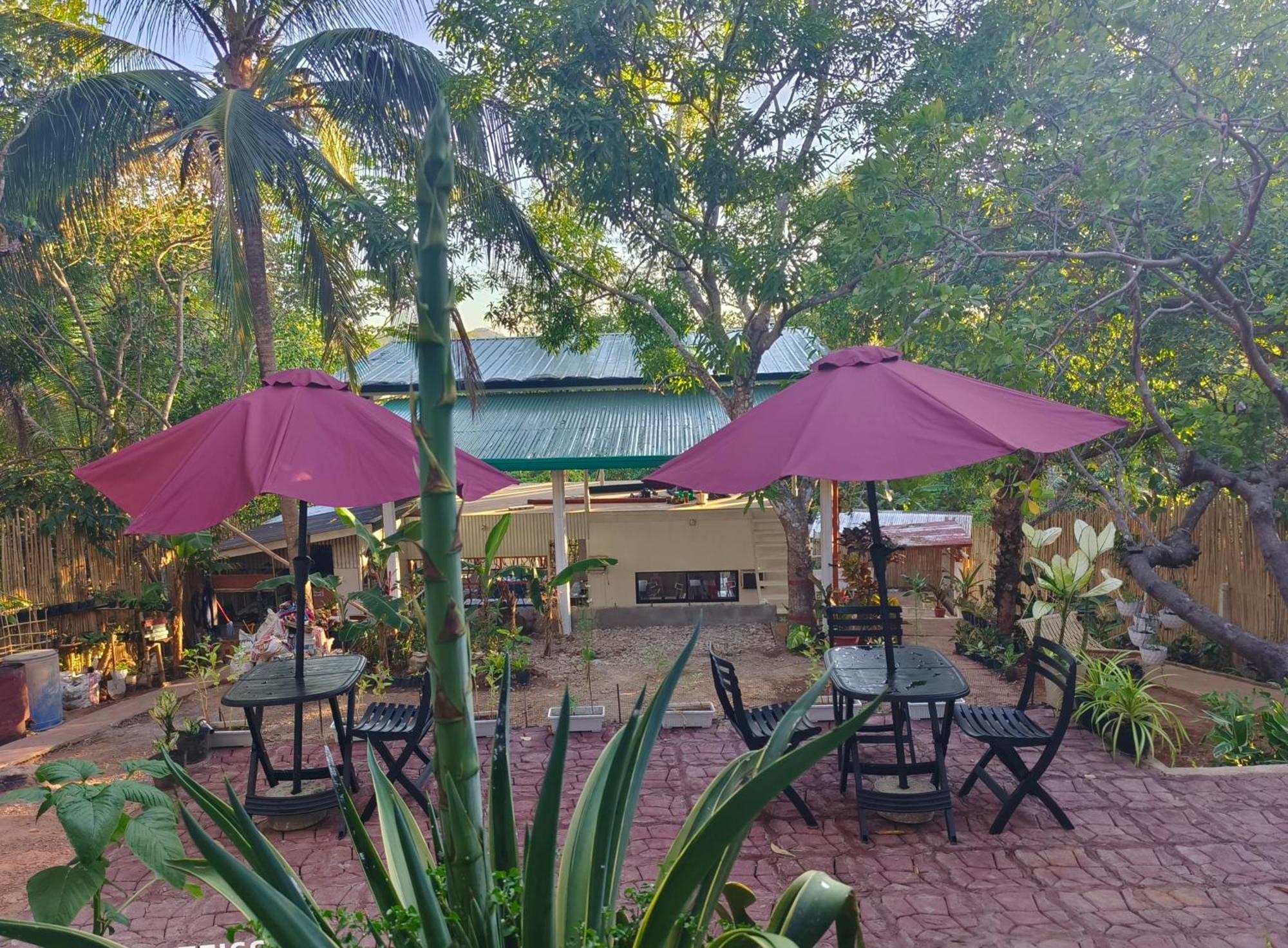 Ani Marie Guest House Đảo Đảo Coron Ngoại thất bức ảnh